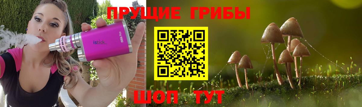 Томск  Галлюциногенные грибы Cubensis  Вход с VPN 