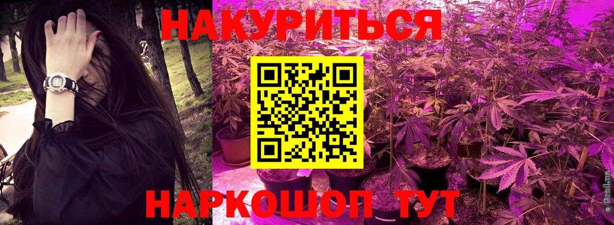 Канабис ГИДРОПОН  Бошки марихуана план  Вход с VPN  Томск 
